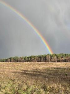 Dom nad jeziorem- Zakatek Mala