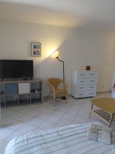 Grand Studio véranda et terrasse