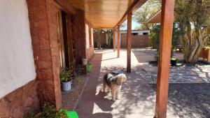 El Rancho B&B