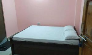 Raj Mahal guest house and Lodge