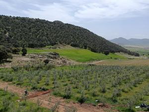 AYA Farm,Ferme dhotes Aguelmous