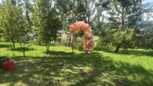 excellent place to rest surrounded by nature