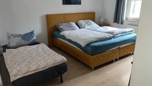 Traumhafte Ferienwohnung in Dresden Neustadt
