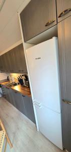 Unique LUXURY APARTMENT FOR SEVEN, OWN PARKING SPACE AND GRILL