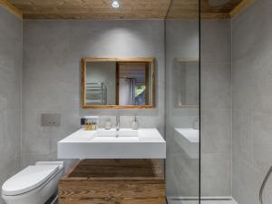 Luxueux chalet neuf à Saint-Martin avec piscine - FR-1-570-51