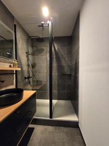 Appartement atypique au cœur de Sallanches