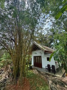 Jungle Lodge