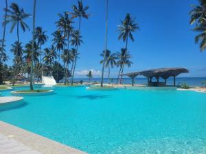 Antonio Beach Tree House Hotel & Spa - biggest swimming pool in East Africa