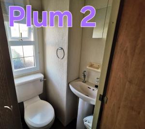 Plum 2, luxury 3 bed 8 berth, gas central heating, bedding included, Static caravan with large wrap around secure veranda on Coral Beach in Ingoldmells