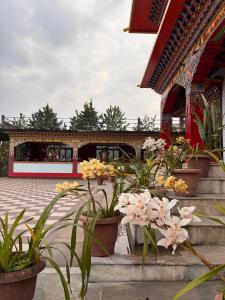Monastic Stay Gangtok