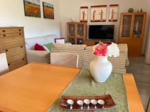 Intermobiliaria Rentals - Vista Africa