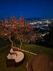 The View