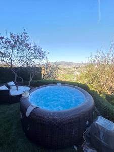 The View
