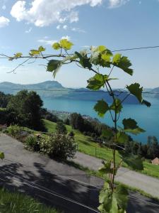 4 Personen, Seesicht, Terrasse, ruhig, Gartensitzplatz