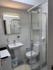 Alunisului,apartament for work and pleasure!