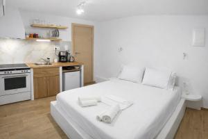 Naxian Vibes Apartments
