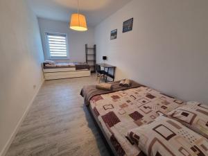 Apartamenty Artemis