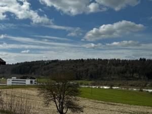 Moderne Unterkunft nahe Rheinfall und Zürich