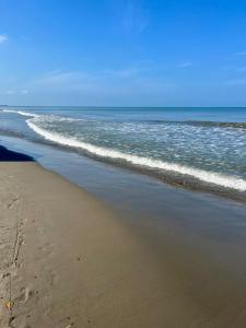 Cozy and quiet apartment