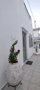 Isavellas House