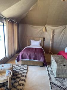 CAMP ISMAIL - SAHARA tour