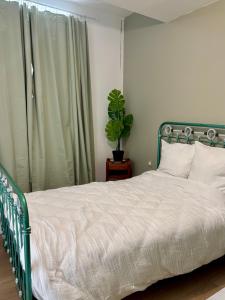Home Verde Suave