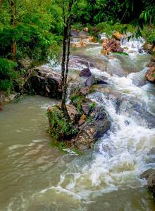 Echo Falls Khanom