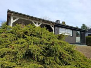 Ferienhaus 265 am Zeulenrodaer Meer