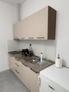 Cozy, centrally located apartment in the heart of Timisoara