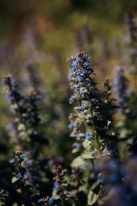 Le Case di Rosie, Tuscan Mountain View House, Pool
