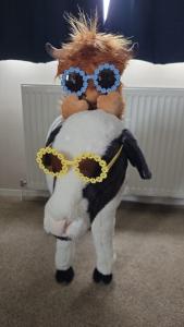 8 Berth Caravan at Blue Dolphin East coast