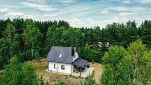Domek Bory Tucholskie Laso Przestrzeń