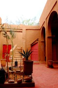 Riad La Voix des Amazones