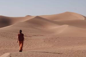 Riad La Voix des Amazones