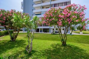 Alvor Sea Front Studio
