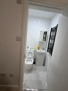 One Bedroom Apartment - Near Wembley