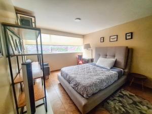 Entire apartment near Coyoacán and Plaza Universidad