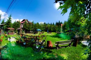 Pension Restaurant Speranta