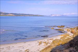 Appartamenti Le Magnolie img32