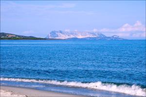 Appartamenti Le Magnolie img40