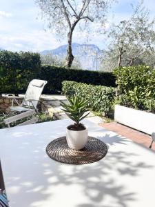 Garden Beths House