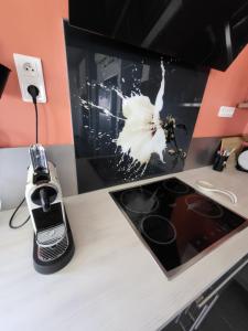 Maison climatisée avec piscine entre Alpilles et Camargue