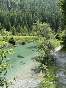 Wasser & Bergwelt Appartement Kärnten