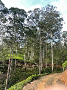 The View at Glenloch - Home Stay
