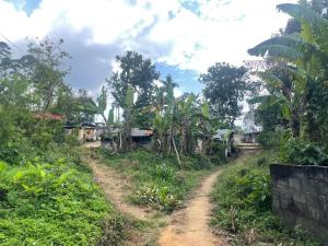 The View at Glenloch - Home Stay