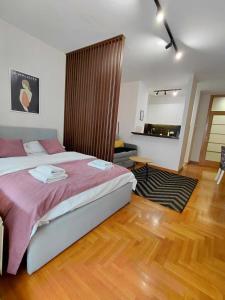 Apartment Arena Studio