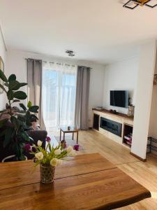 Stone Apartment with sauna Sinaia