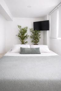 Olive tree studio ,Corfu Town