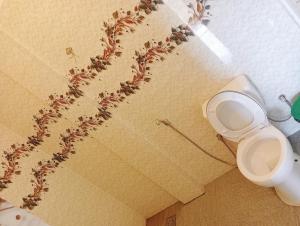 Mano Holiday Guest House