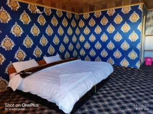 Mystic Mountains Cottage Merak Pangong